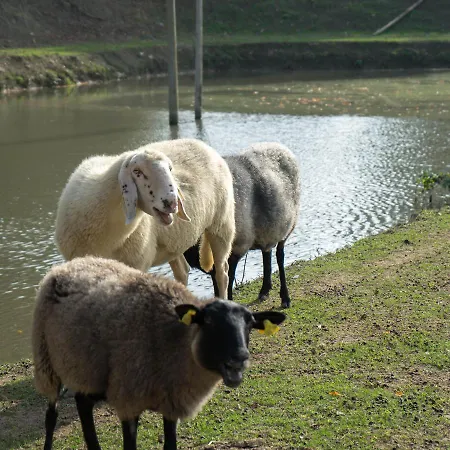 Agriturismo La Sosta Dell'idice