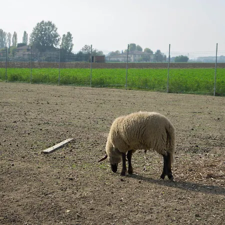 Agriturismo La Sosta Dell'idice