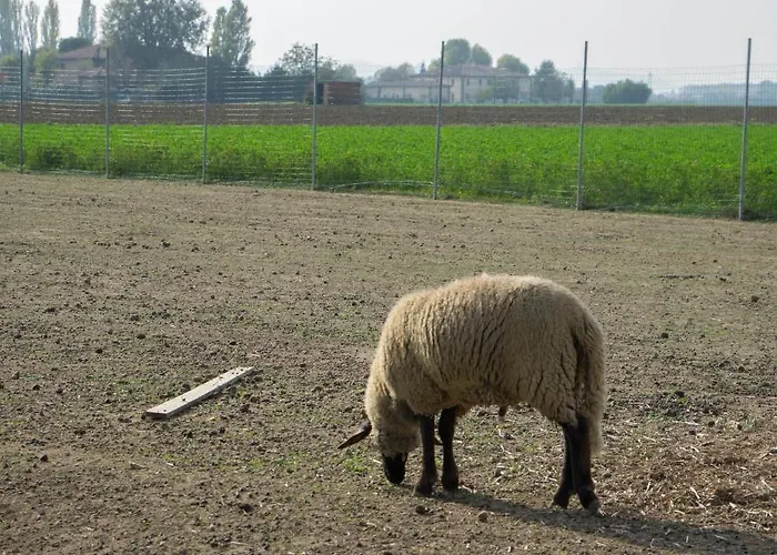 Agriturismo La Sosta Dell'idice